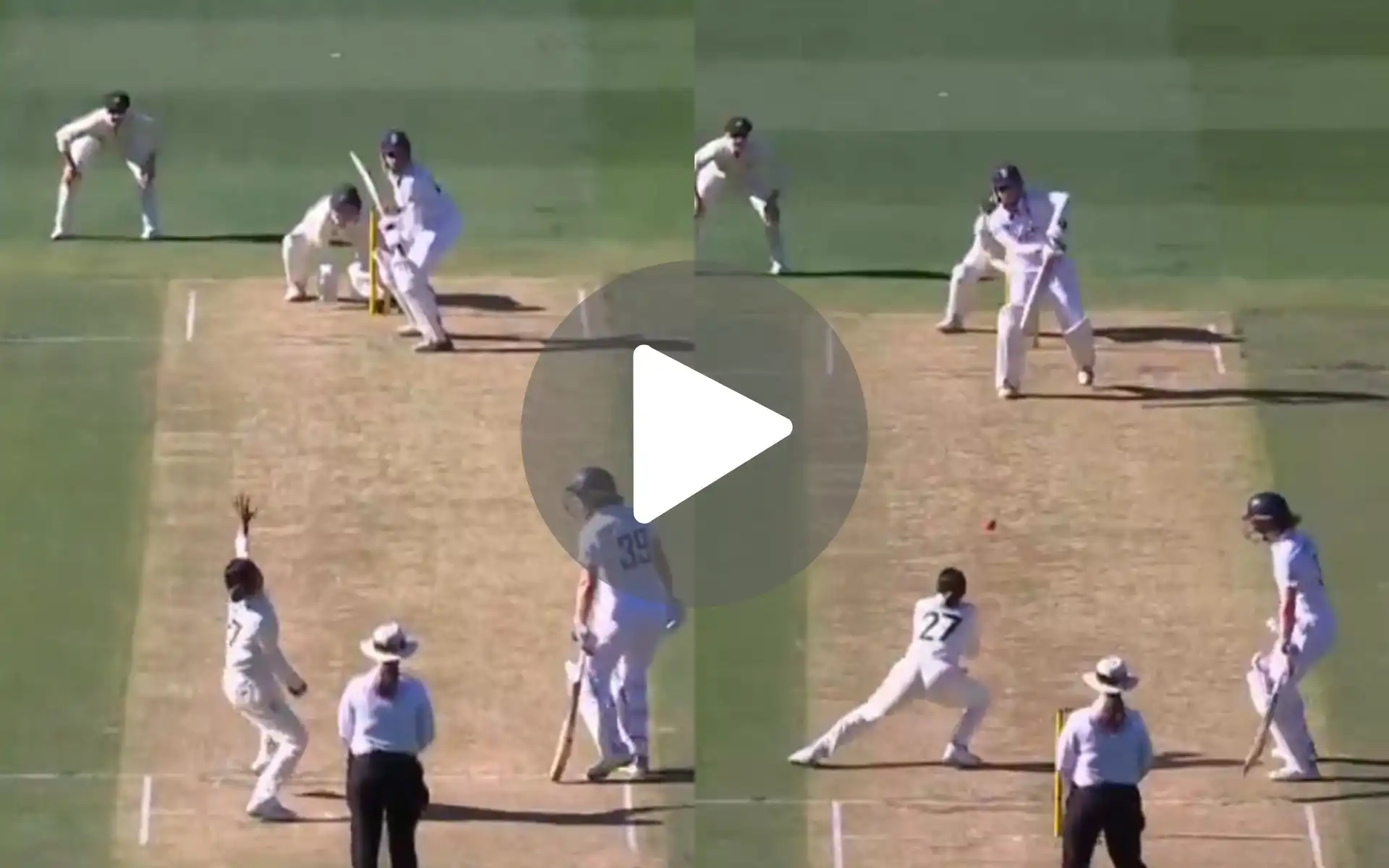 [Watch] Alana King Plucks Brilliant Caught And Bowled As Sophia Dunkley Gets Trapped